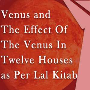 12 houses and venus